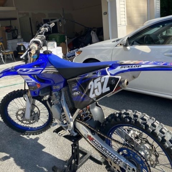 Meet your Posher, Arshia - Picture 1 of 1